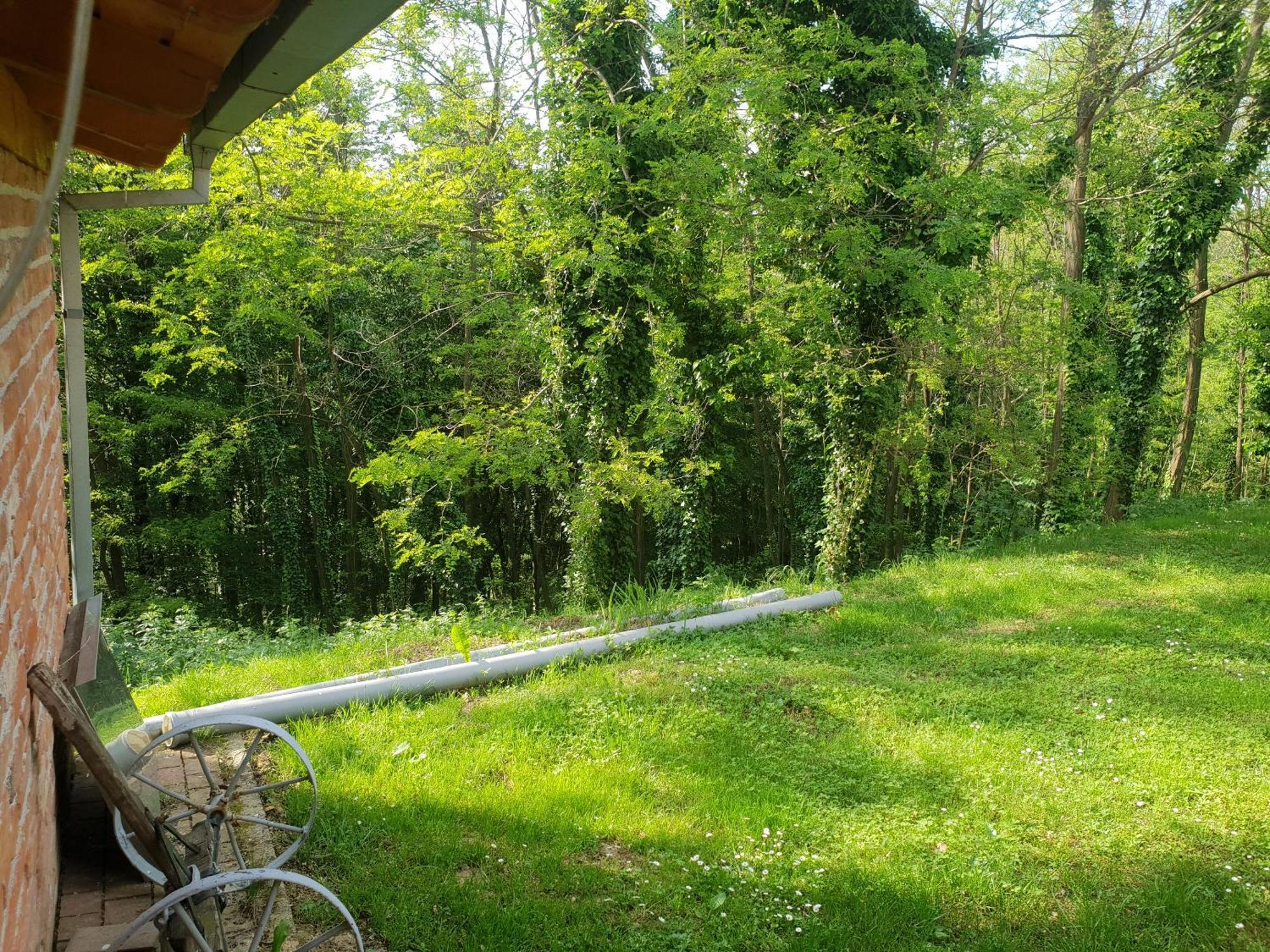 Villa Ruralna Kuca Za Odmor Golub Skaricevo Exterior foto